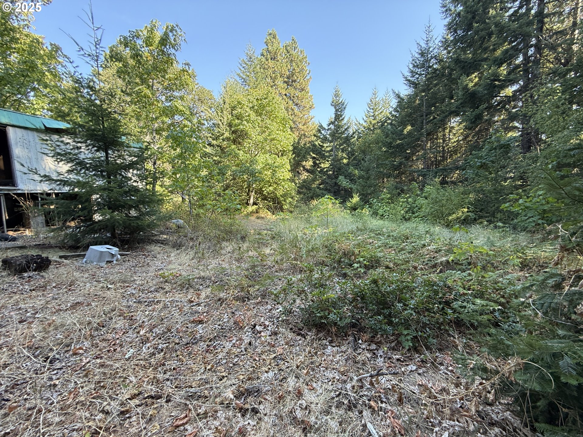 121 Cooke Road White Salmon, WA 98672 - Photo 43 of 48 a big yard with lots of green space