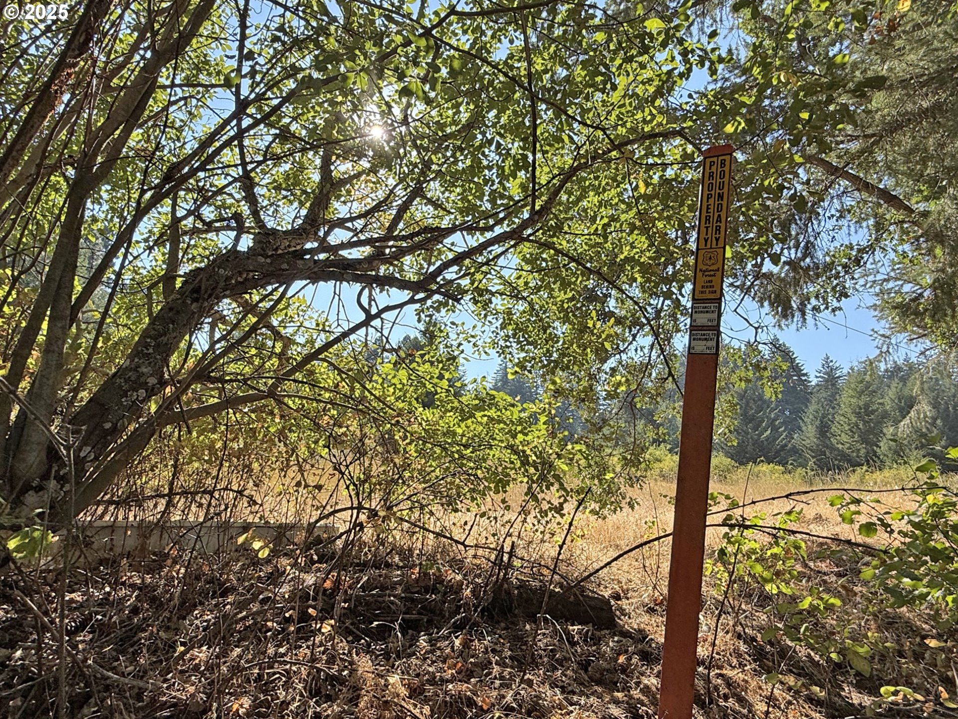 121 Cooke Road White Salmon, WA 98672 - Photo 46 of 48 a view of a yard