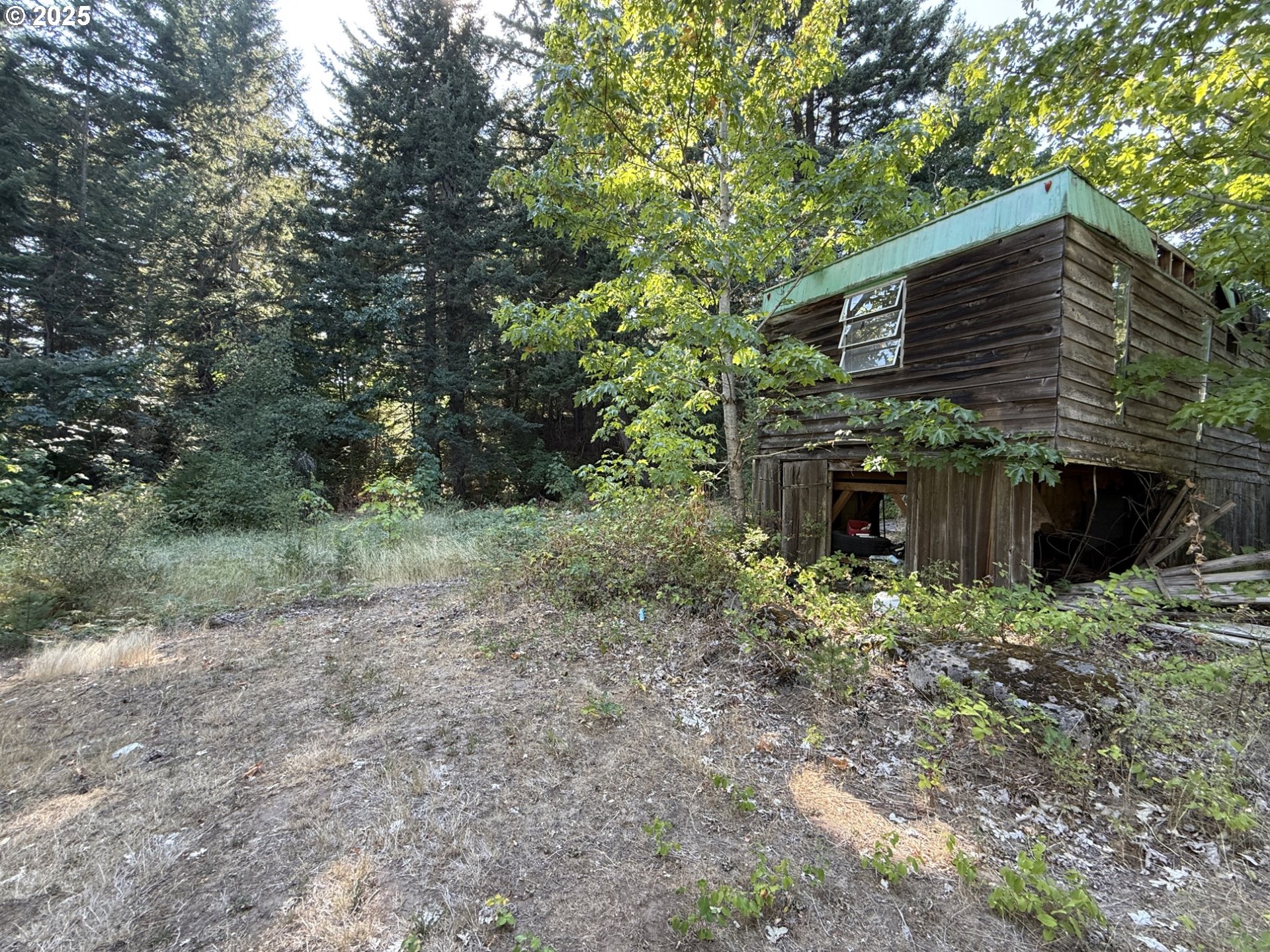 121 Cooke Road White Salmon, WA 98672 - Photo 9 of 48 a backyard of a house with lots of green space