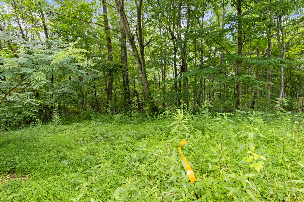 0 Crawford Road McCaysville, GA 30555 - Photo 20 of 21