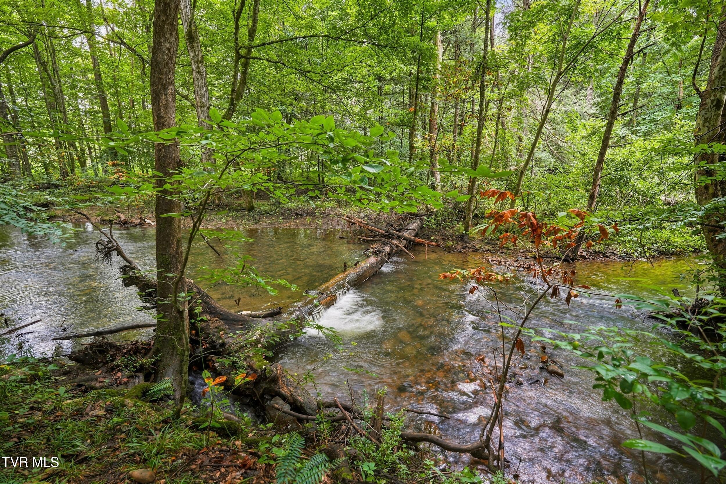 Tbd Tbd Mcinturff Springs Road Erwin, TN 37650 - Photo 19 of 22 15_dsc07934