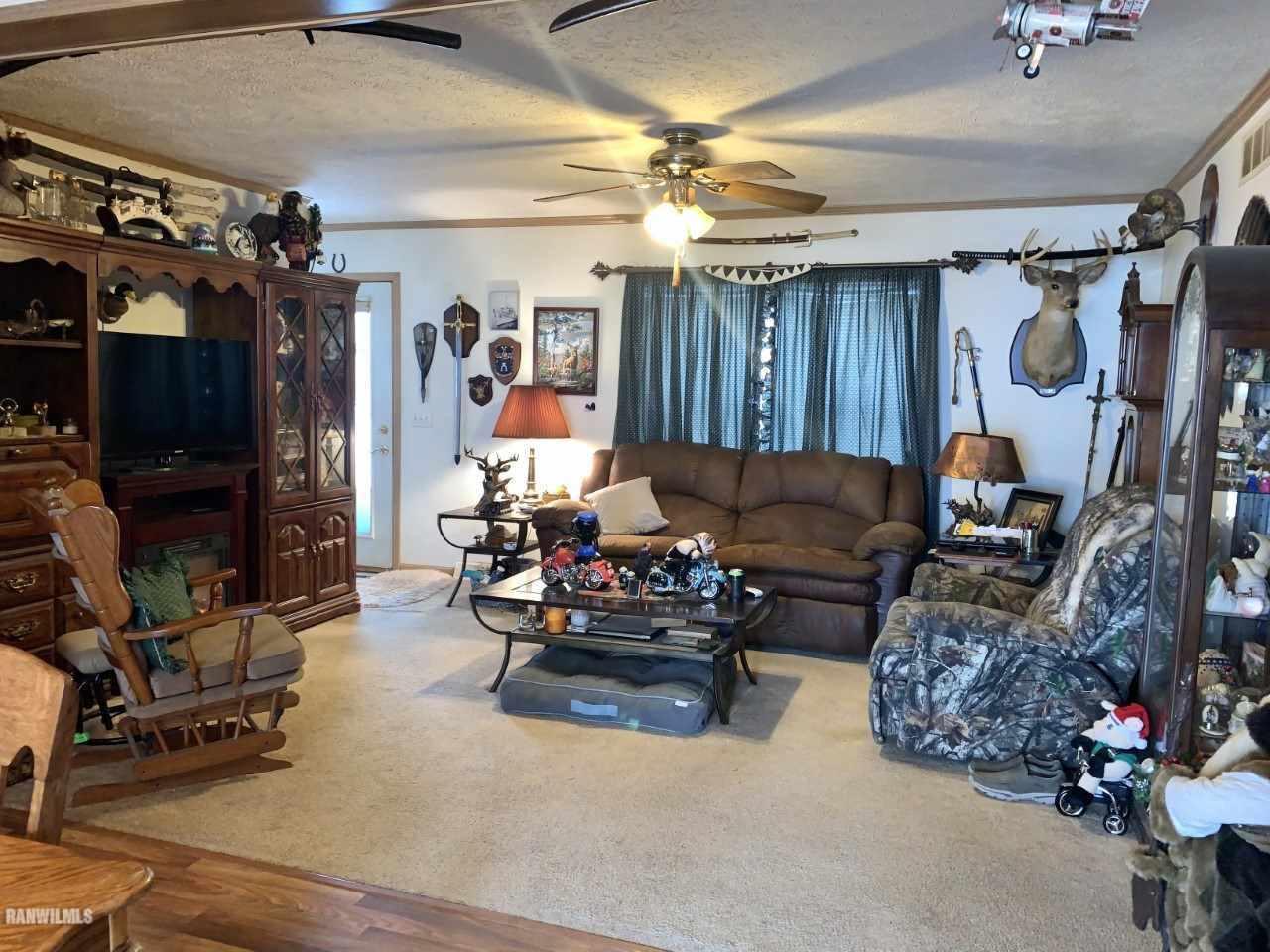 6639 Riverview Road Thomson, IL 61285 - Photo 10 of 20 a living room with furniture and a flat screen tv