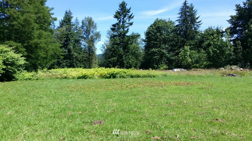 16938 Southeast 128th Street Renton, WA 98059 - Photo 3 of 5