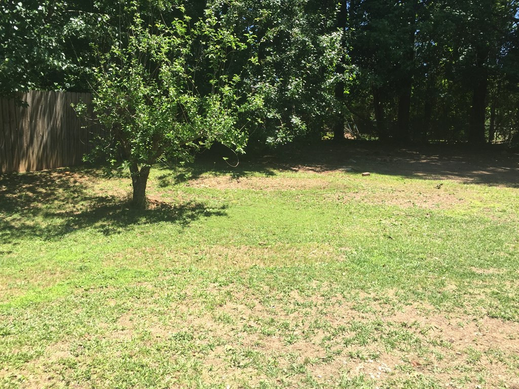 416 Warren Road Augusta, GA 30907 - Photo 14 of 15 Backyard