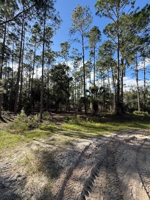 215 Hideaway Lane Georgetown, FL 32139 - Photo 2 of 3