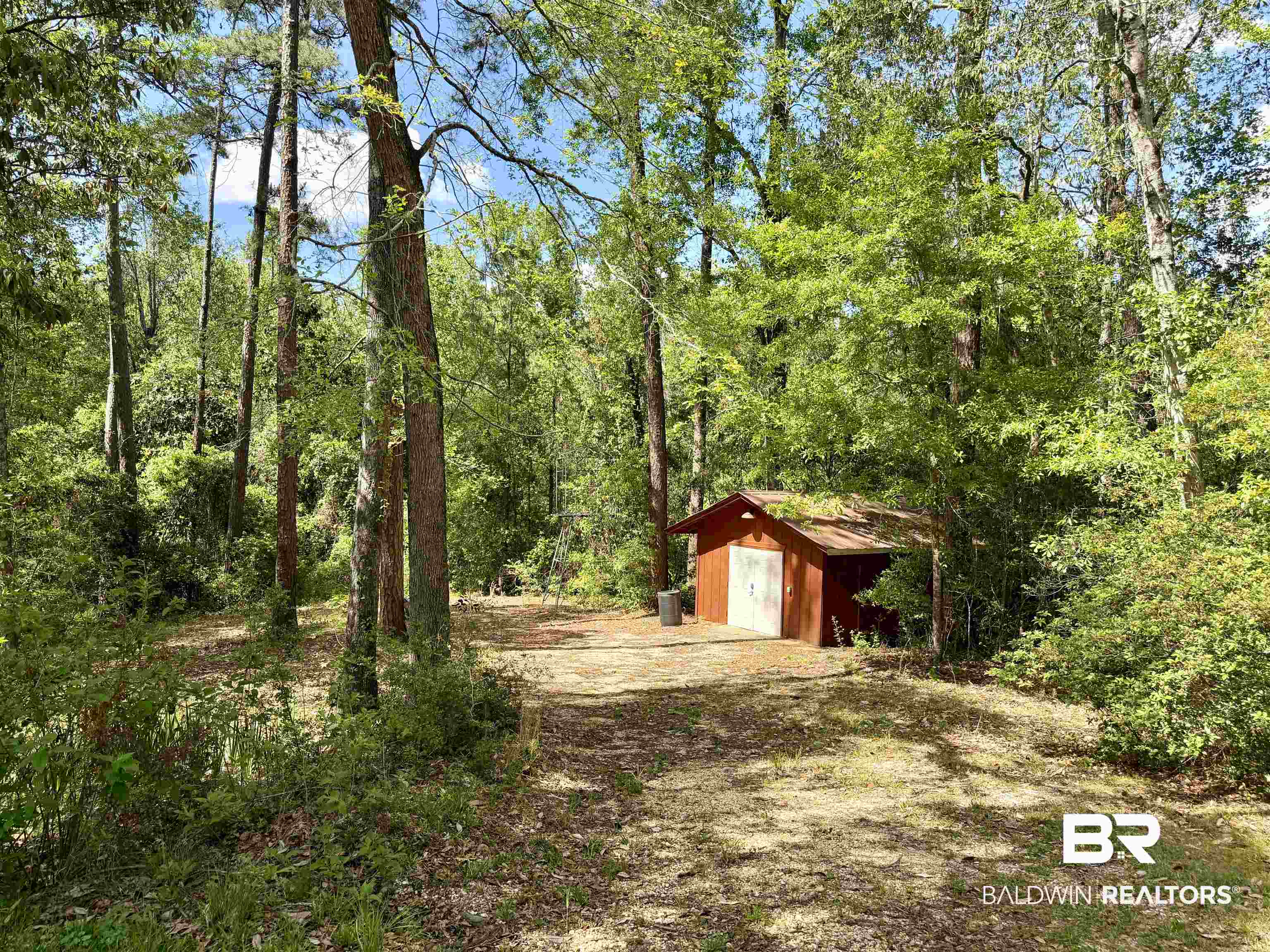 2944 Appleton Road Brewton, AL 36426 - Photo 60 of 65 View of yard with an outbuilding and a wooded view