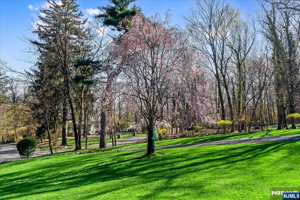 5 Edgehill Road West Orange, NJ 07052 - Photo 27 of 30