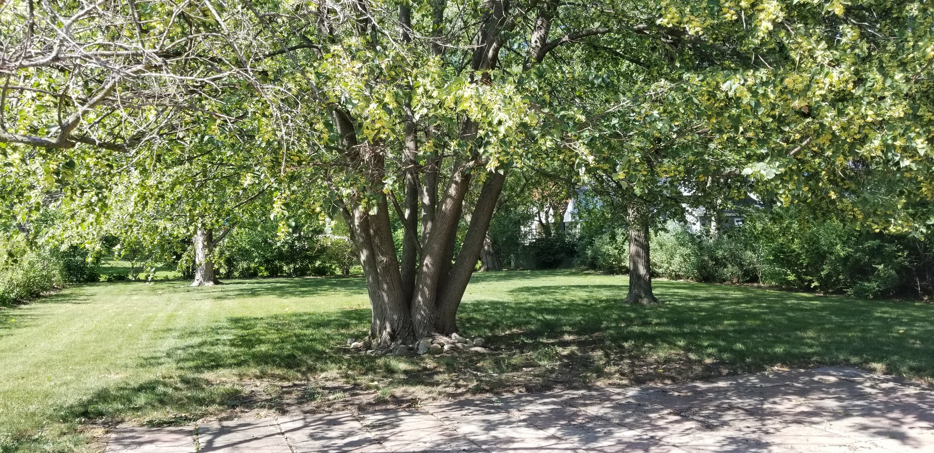 3402 Winnetka Road Glenview, IL 60026 - Photo 18 of 19 Gallery Image 18