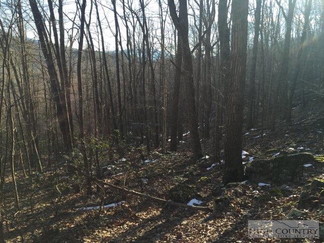 Off Boone Ridge Road Butler, TN 37640 - Photo 1 of 2 a view of lots of trees