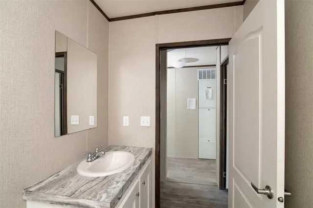 a bathroom with a sink and a mirror