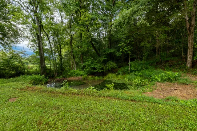 $225,000 | 0 Keith Vly Road Northeast, Cohutta, GA 30710