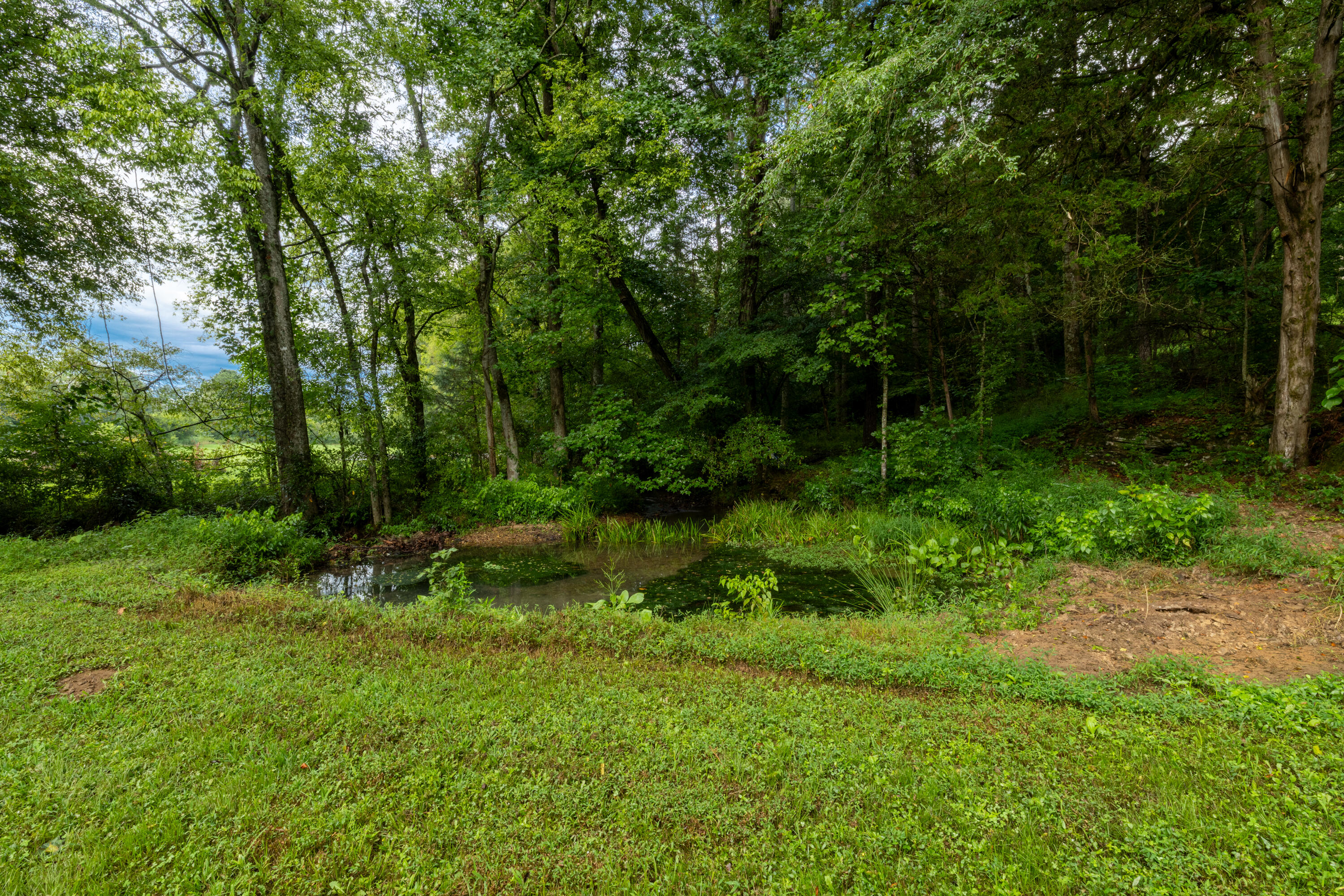 0 Keith Vly Road Northeast Cohutta, GA 30710 - Photo 14 of 35 0 Keith Salem Road (14 of 35)