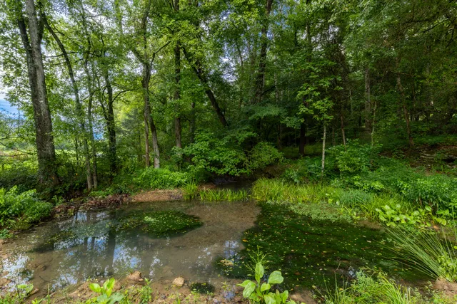 $225,000 | 0 Keith Vly Road Northeast, Cohutta, GA 30710