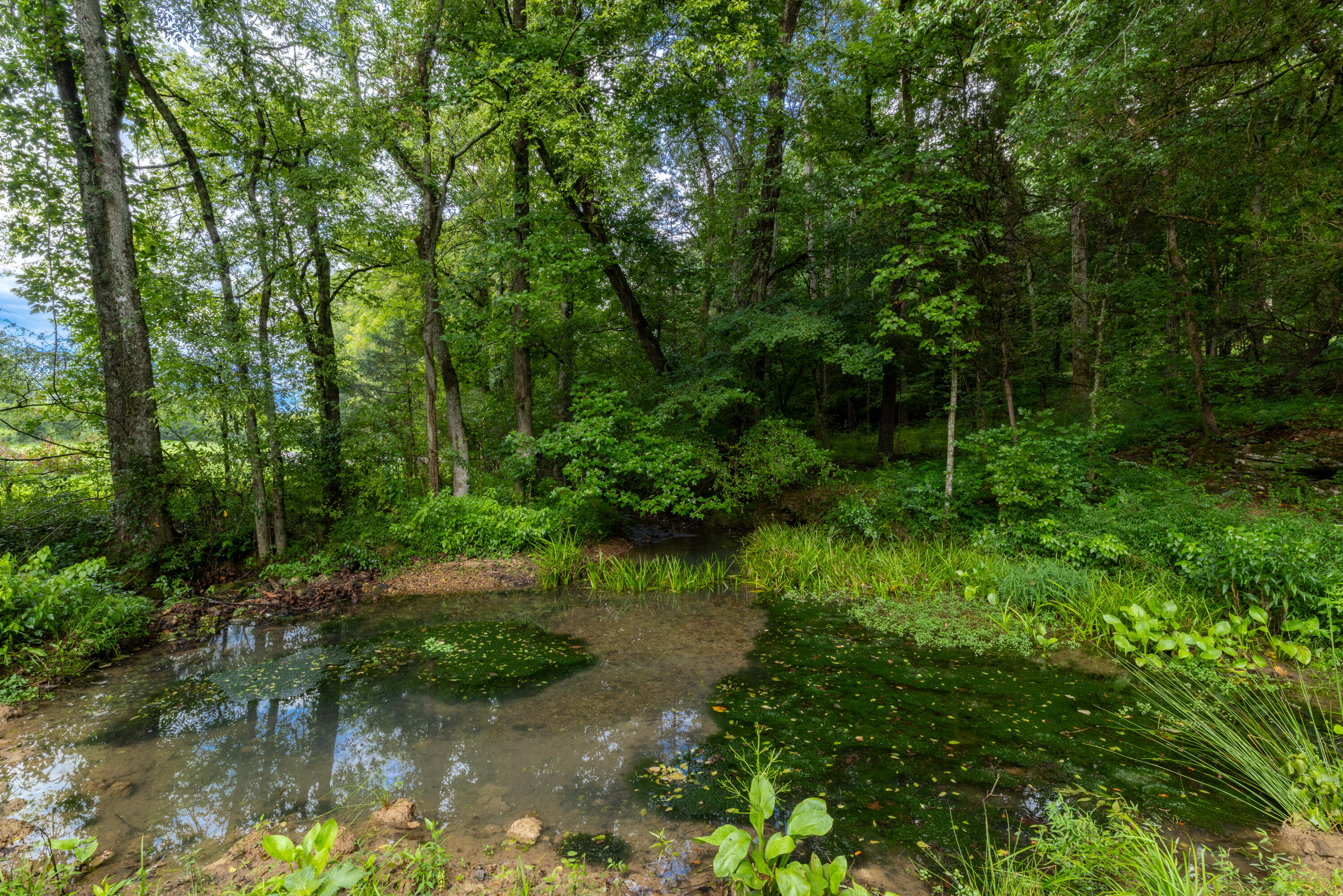0 Keith Vly Road Northeast Cohutta, GA 30710 - Photo 15 of 35 0 Keith Salem Road (15 of 35)