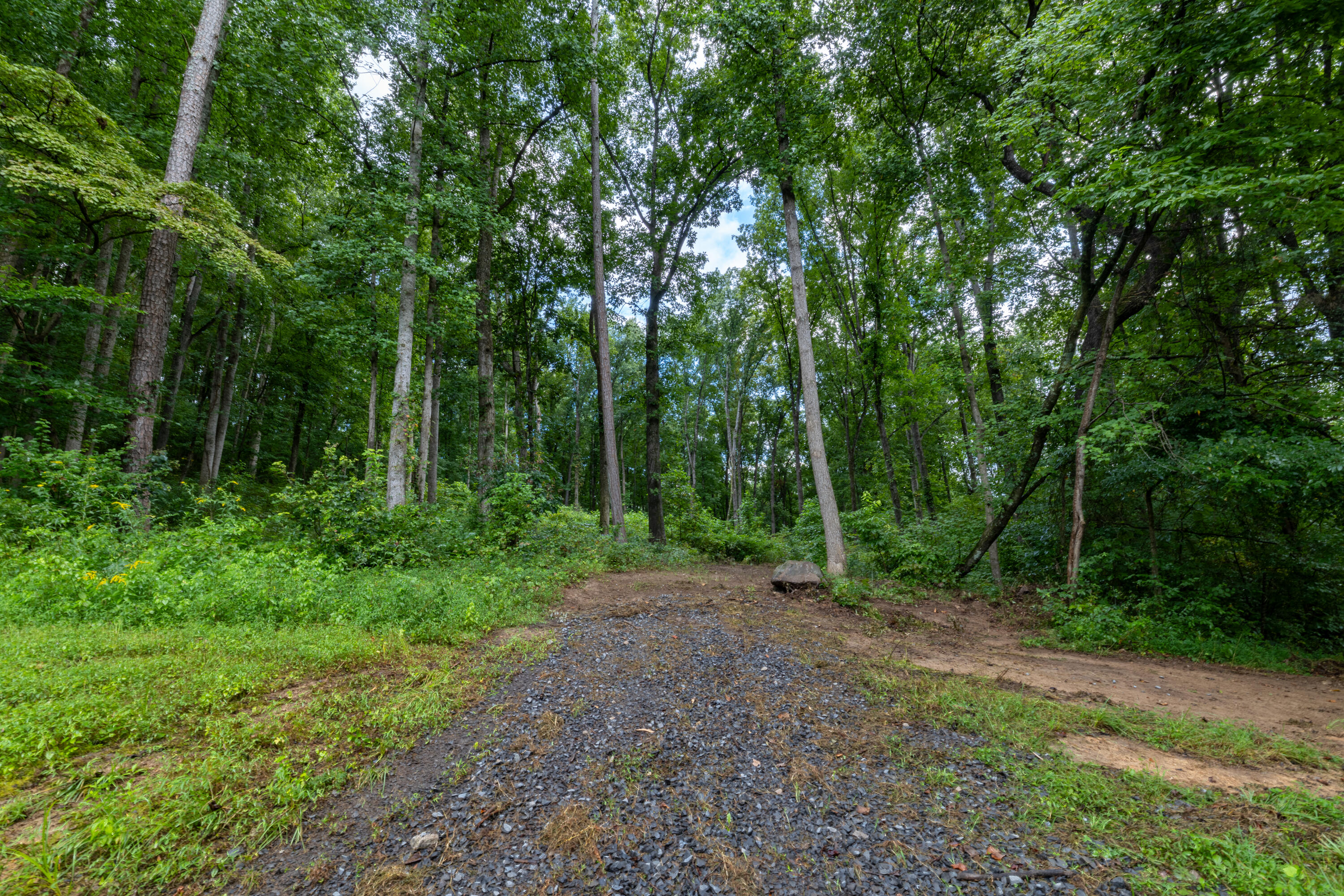 0 Keith Vly Road Northeast Cohutta, GA 30710 - Photo 21 of 35 0 Keith Salem Road (21 of 35)