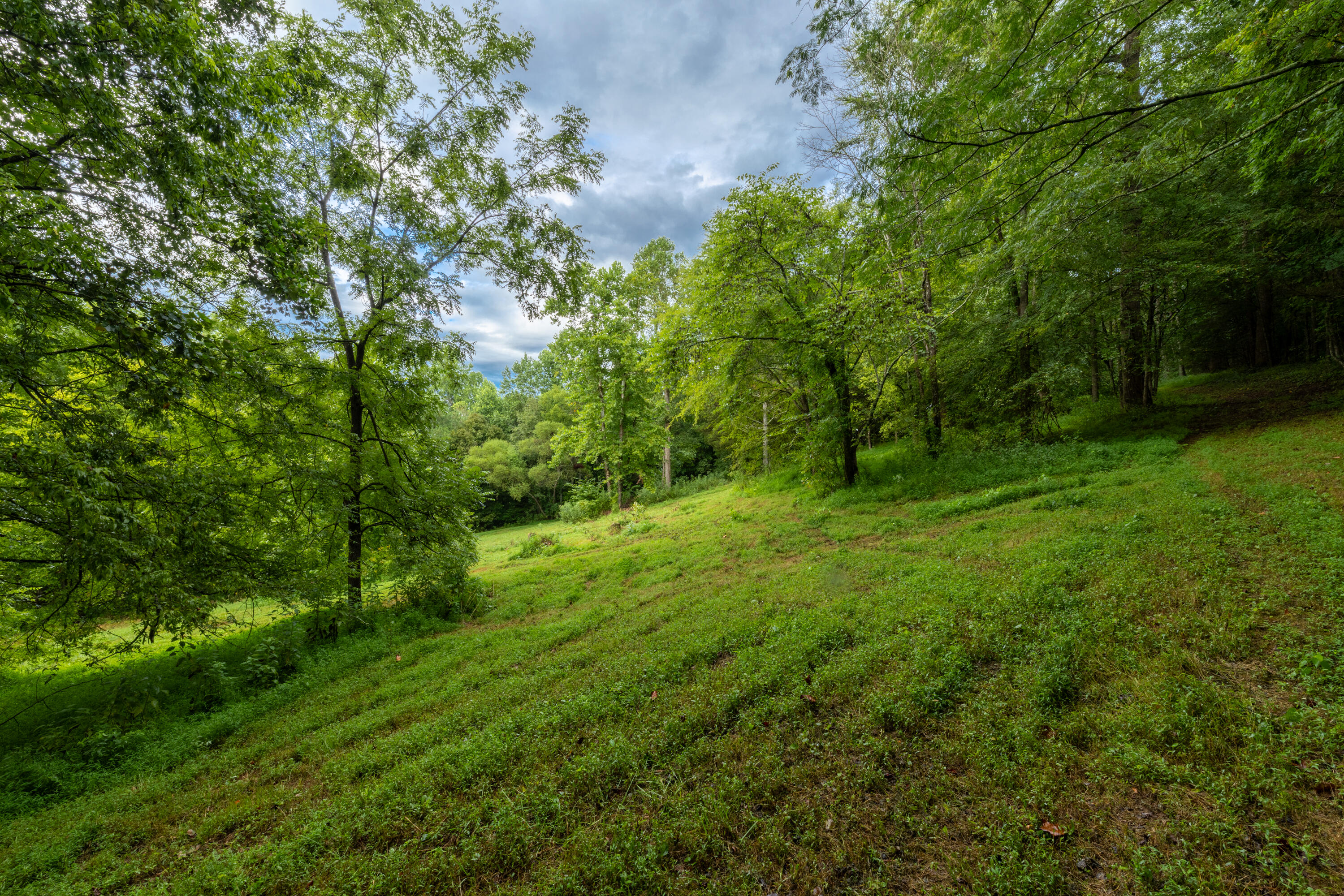 0 Keith Vly Road Northeast Cohutta, GA 30710 - Photo 28 of 35 0 Keith Salem Road (28 of 35)