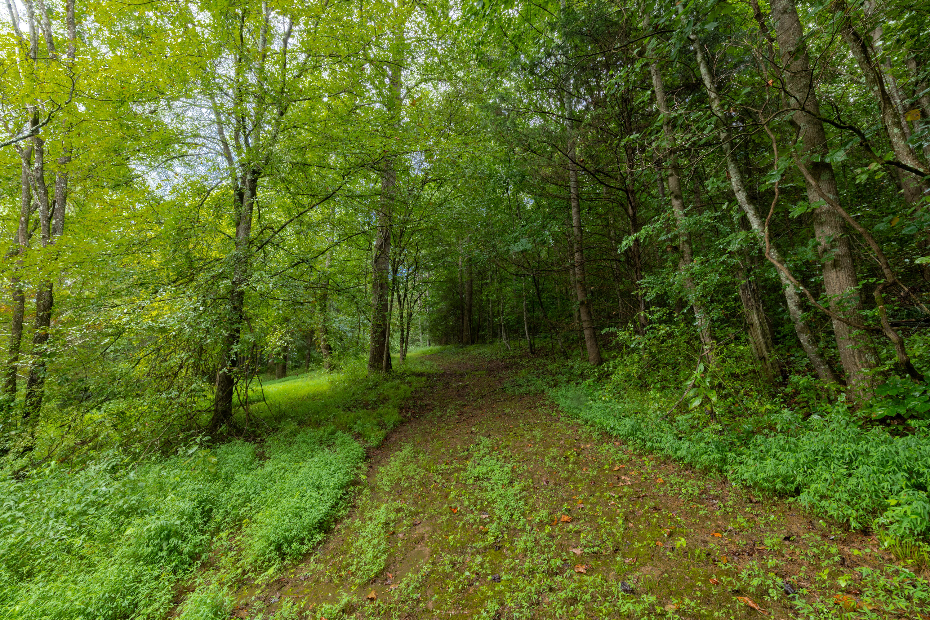 0 Keith Vly Road Northeast Cohutta, GA 30710 - Photo 29 of 35 0 Keith Salem Road (29 of 35)