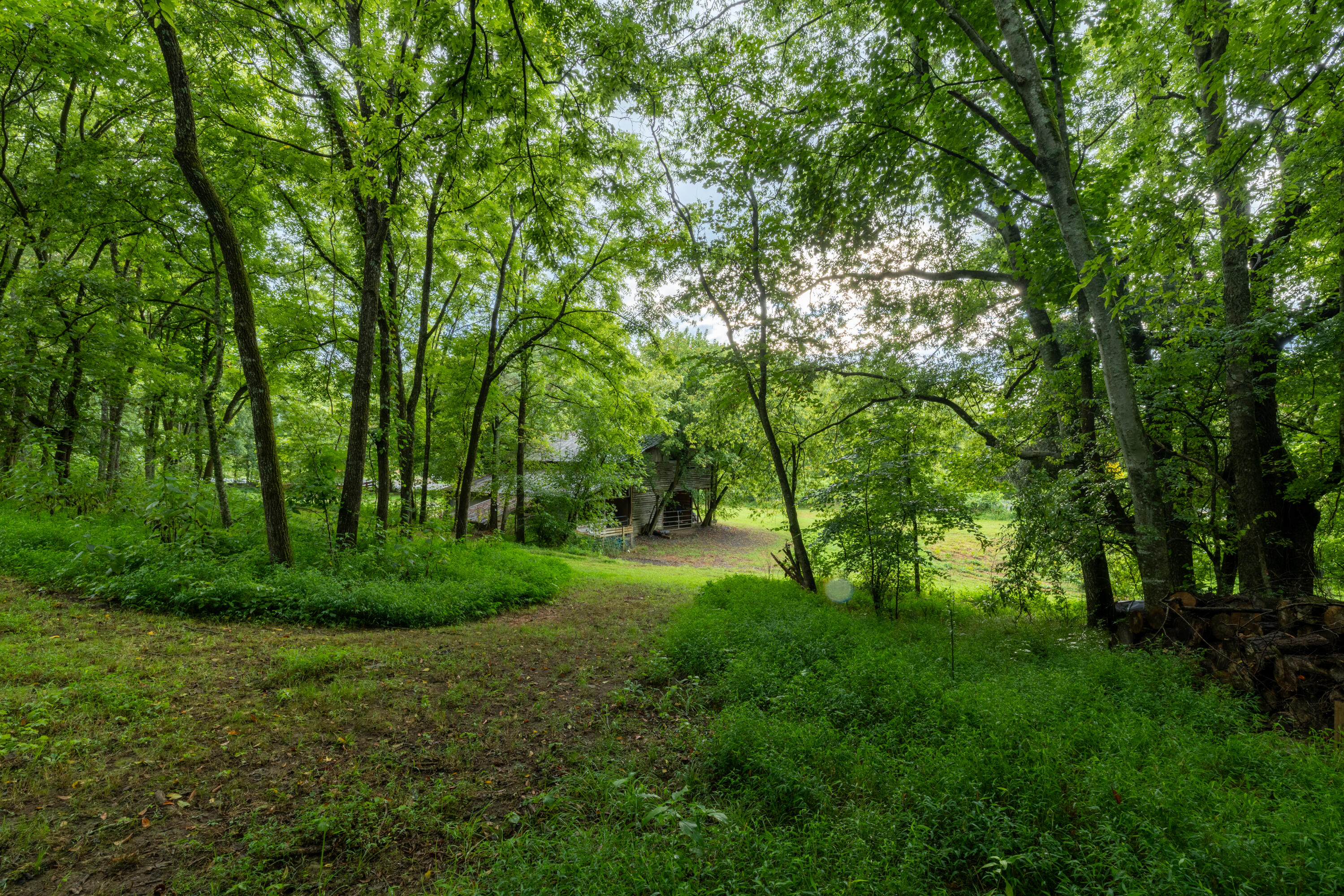 0 Keith Vly Road Northeast Cohutta, GA 30710 - Photo 34 of 35 0 Keith Salem Road (34 of 35)