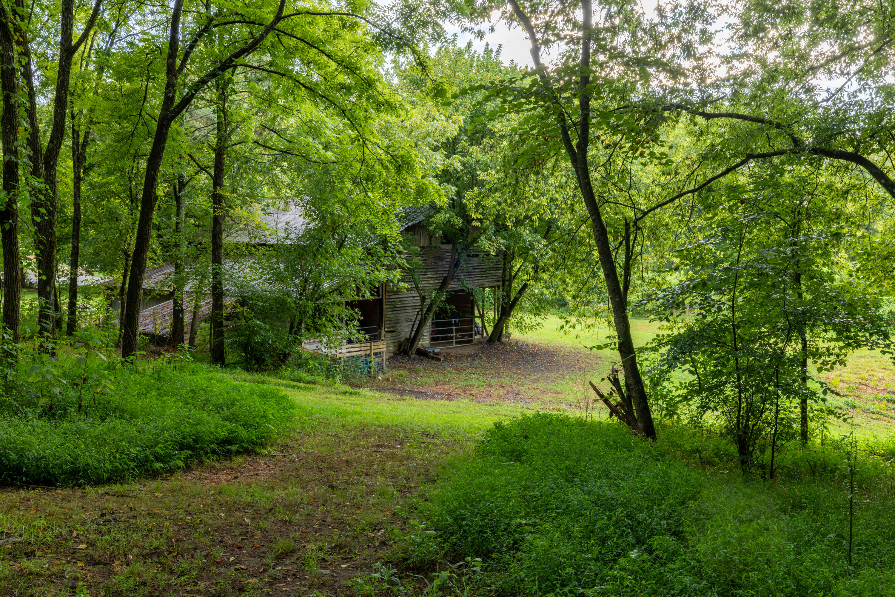 0 Keith Vly Road Northeast Cohutta, GA 30710 - Photo 35 of 35 0 Keith Salem Road (35 of 35)