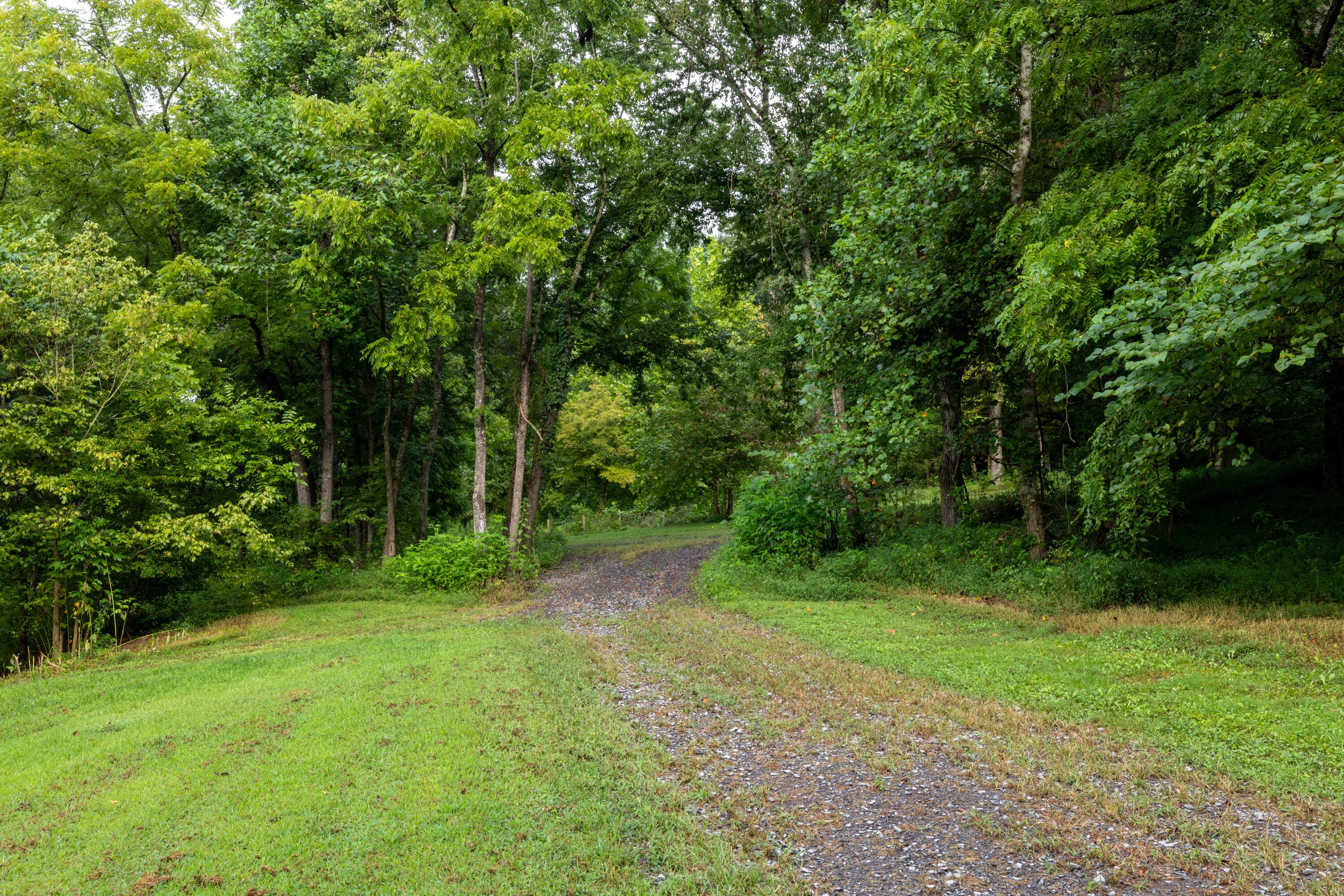 0 Keith Vly Road Northeast Cohutta, GA 30710 - Photo 9 of 35 0 Keith Salem Road (9 of 35)