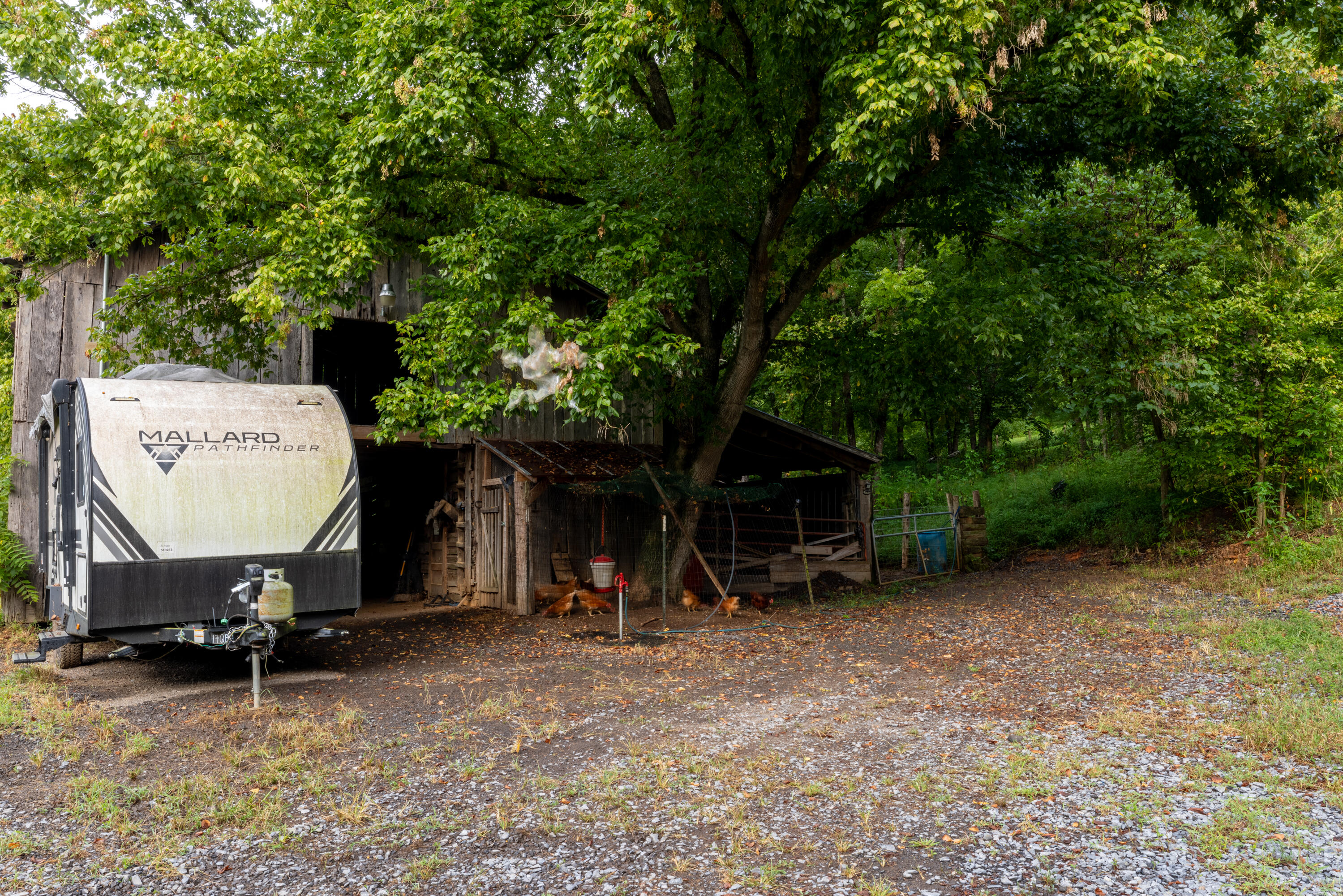 0 Keith Vly Road Northeast Cohutta, GA 30710 - Photo 10 of 35 0 Keith Salem Road (10 of 35)