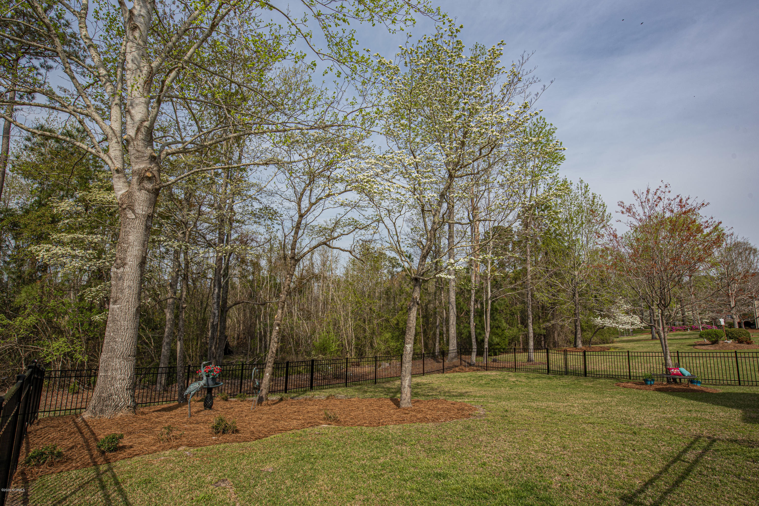 110 Friburg Road New Bern, NC 28562 - Photo 41 of 84 Backyard