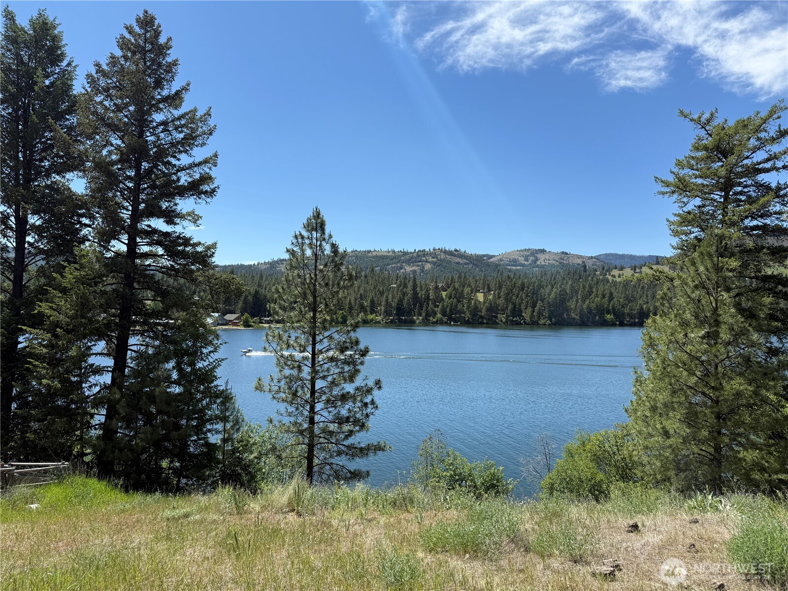 a view of backyard and outdoor space