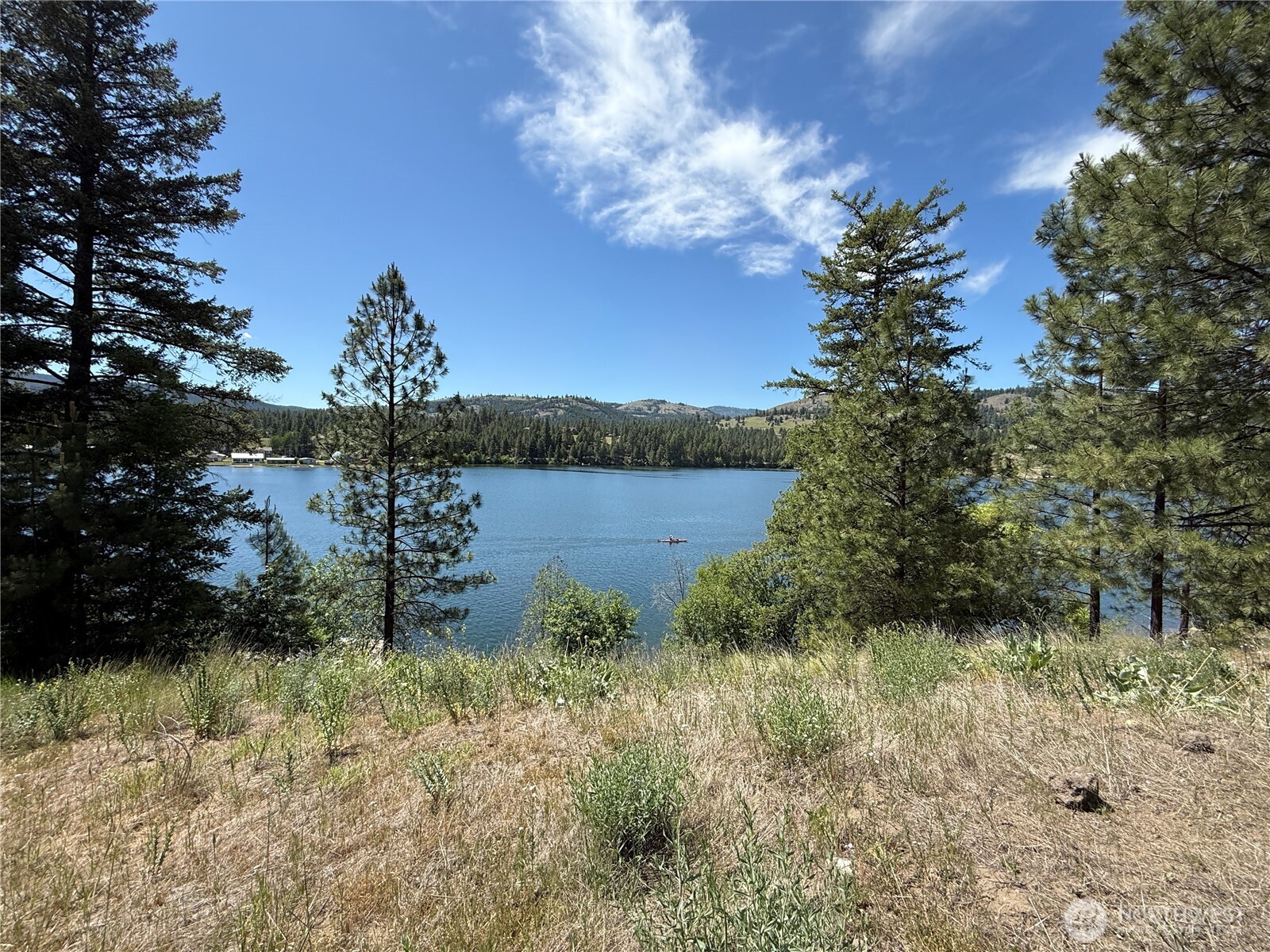 0 Dollar Bar Beach Road Republic, WA 99166 - Photo 2 of 9 a view of a lake with a tree in the background