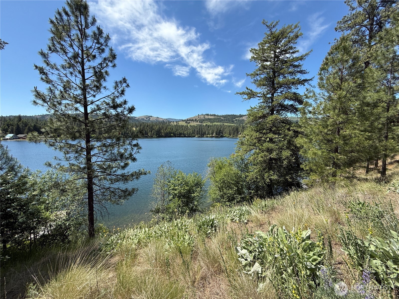 0 Dollar Bar Beach Road Republic, WA 99166 - Photo 5 of 9