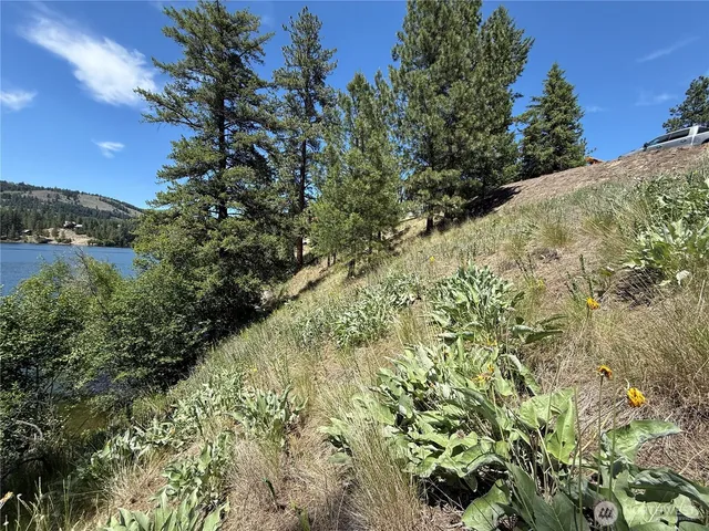 $99,900 | 0 Dollar Bar Beach Road, Republic, WA 99166