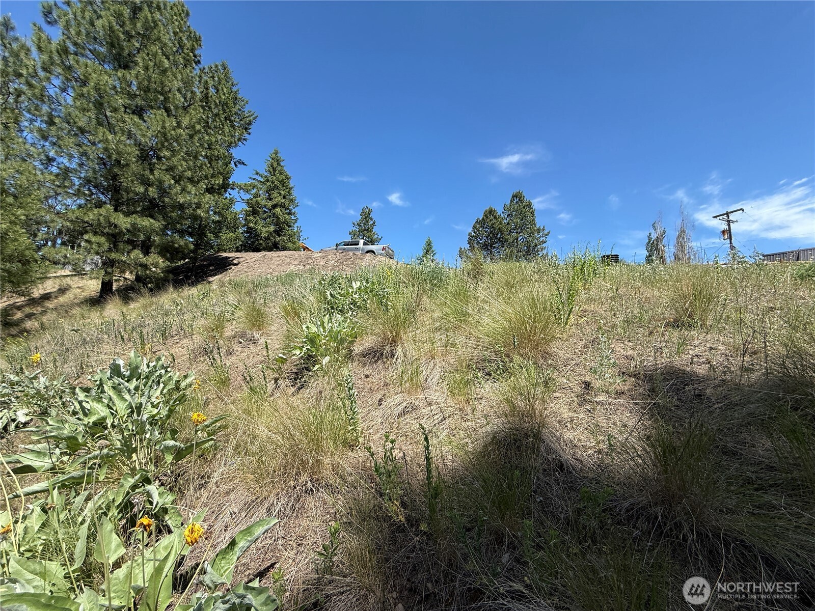 0 Dollar Bar Beach Road Republic, WA 99166 - Photo 9 of 9 a view of a bunch of trees and bushes
