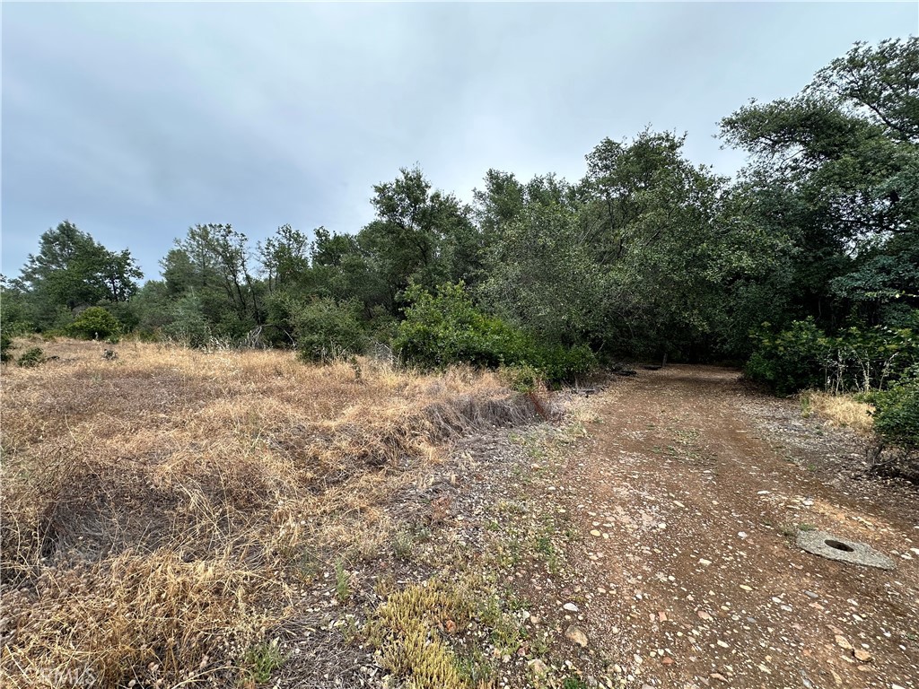 414 Beaver Road Oroville, CA 95966 - Photo 6 of 10