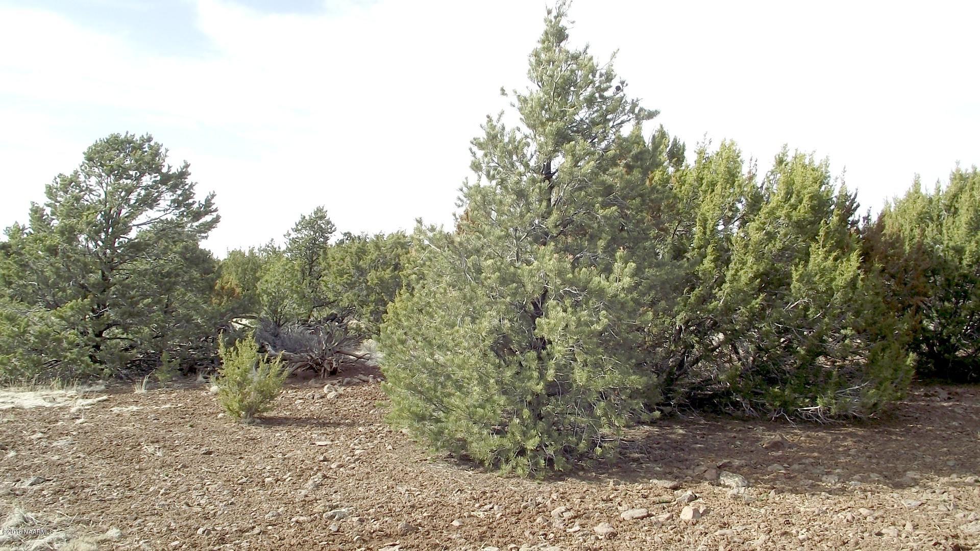 10702 North Falcon Ridge Road Williams, AZ 86046 - Photo 1 of 2 2013_0425september2011-small0084