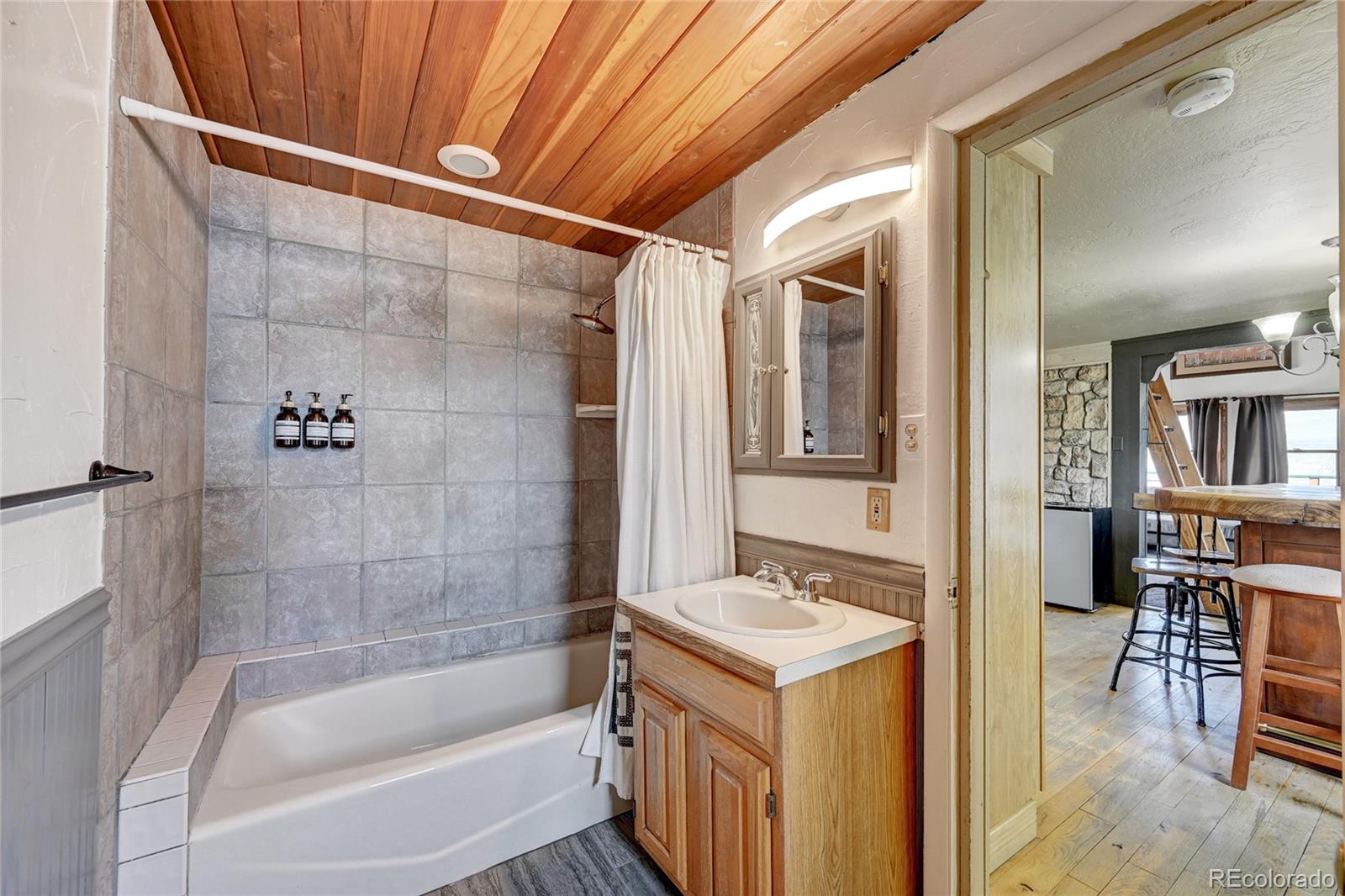 14 Blue Ridge Street Silverthorne, CO 80498 - Photo 17 of 24 Gallery Image 17