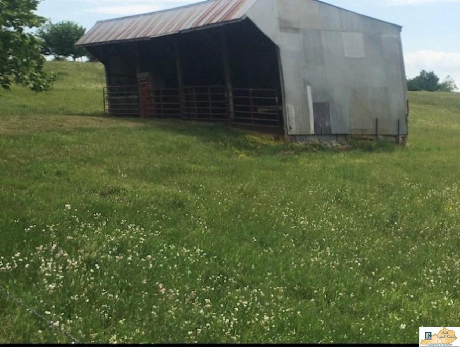 0 Cave Springs Road Tompkinsville, KY 42167 - Photo 7 of 7 Gallery Image 7