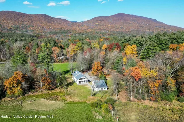 a view of a lush green hillside and houses