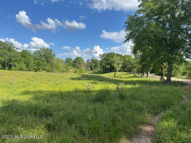 152 Highway 27 Tylertown, MS 39667 - Photo 31 of 52 IMG_8119