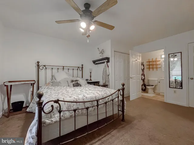 a view of a trees in a yard