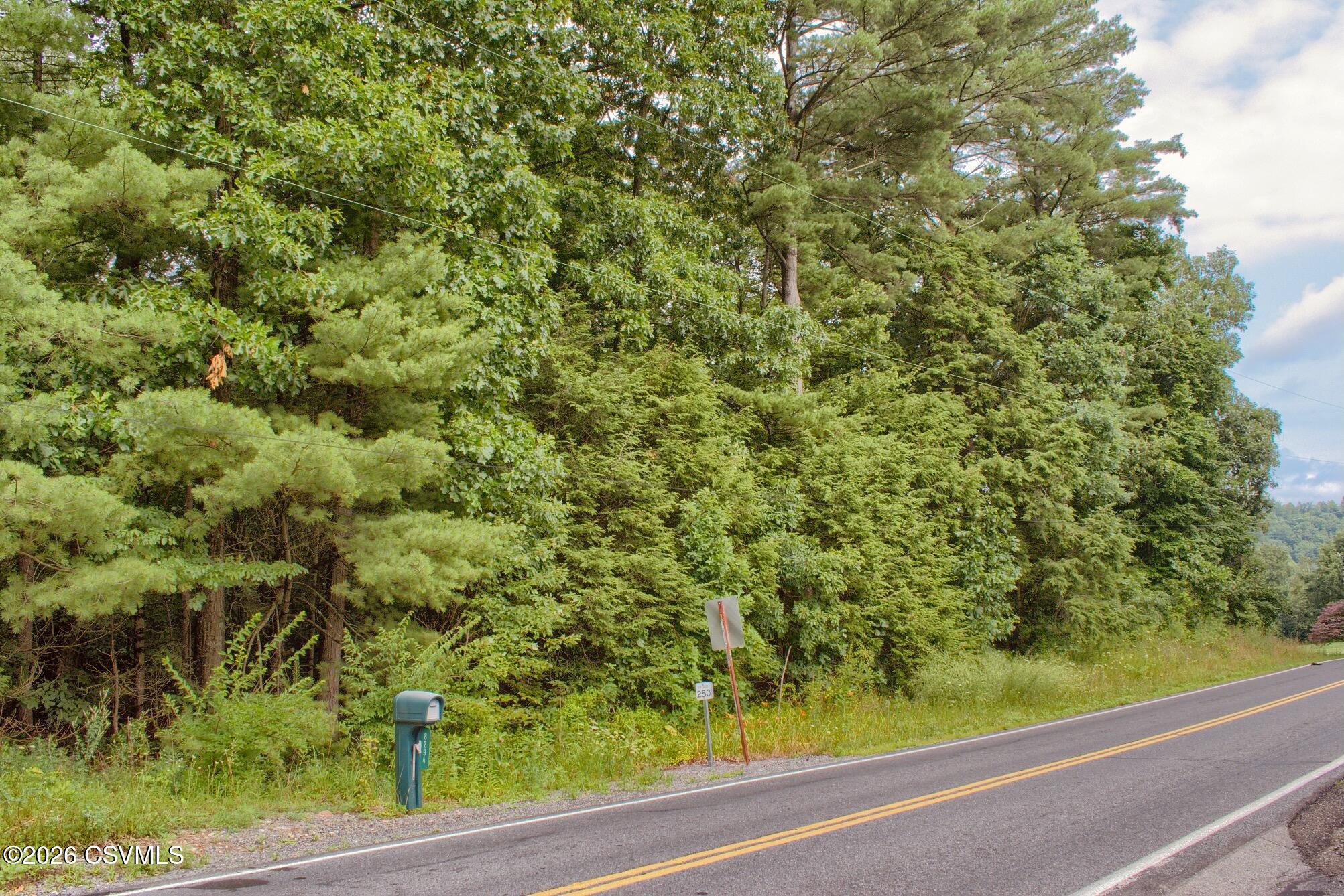 Pa-235 Highway Beavertown, PA 17813 - Photo 1 of 6