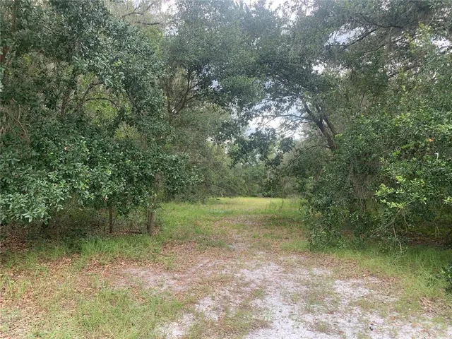 a view of a lake with a yard
