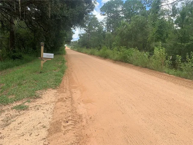 a view of a backyard with green space