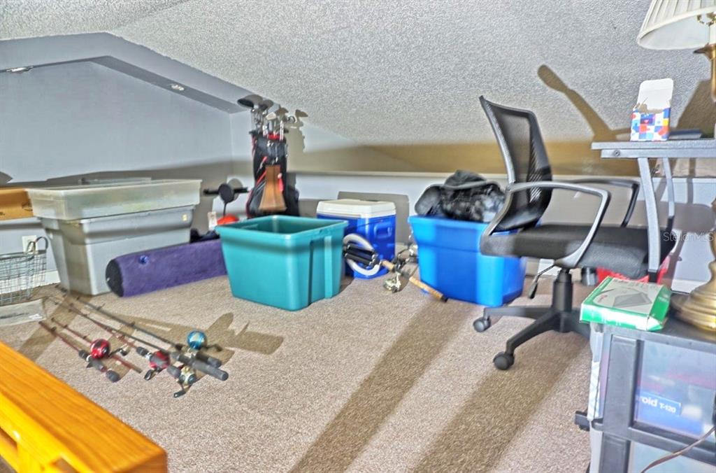 20857 Haulover Cove Road, Unit B14 Lutz, FL 33558 - Photo 21 of 35 a room with gym equipment
