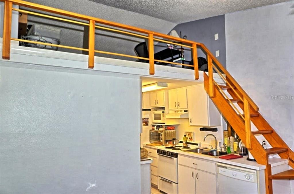 20857 Haulover Cove Road, Unit B14 Lutz, FL 33558 - Photo 8 of 35 a view of front door and washer