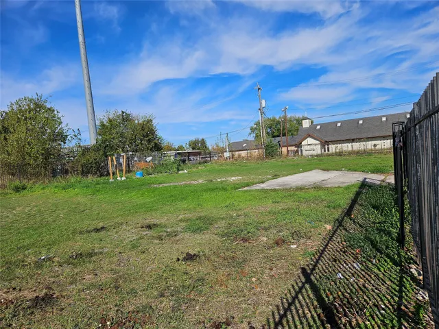 a view of a big yard with a large tree
