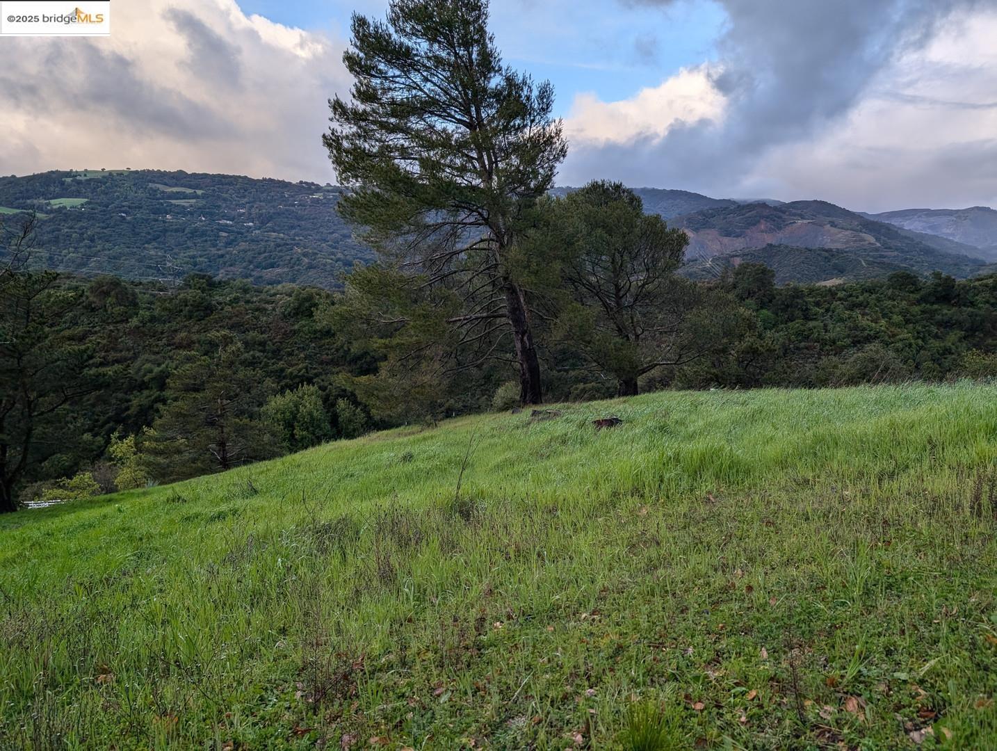 22346 Regnart Road Cupertino, CA 95014 - Photo 11 of 20 a view of a backyard with a garden