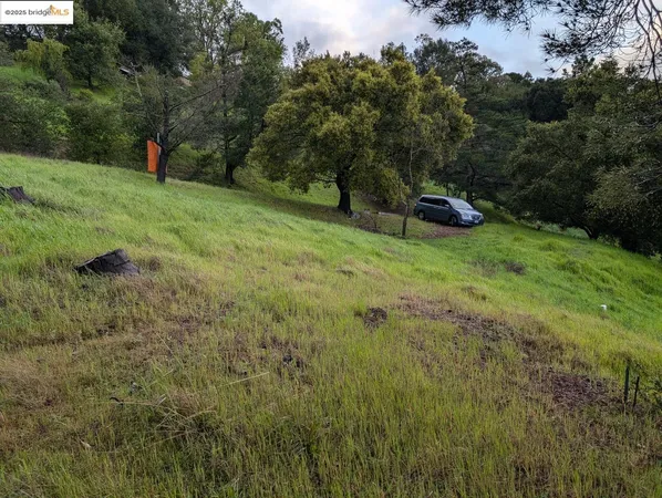 a backyard of a house with a yard and entertaining space