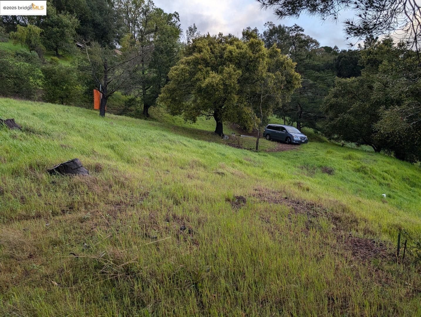 22346 Regnart Road Cupertino, CA 95014 - Photo 14 of 20 a backyard of a house with a yard and entertaining space