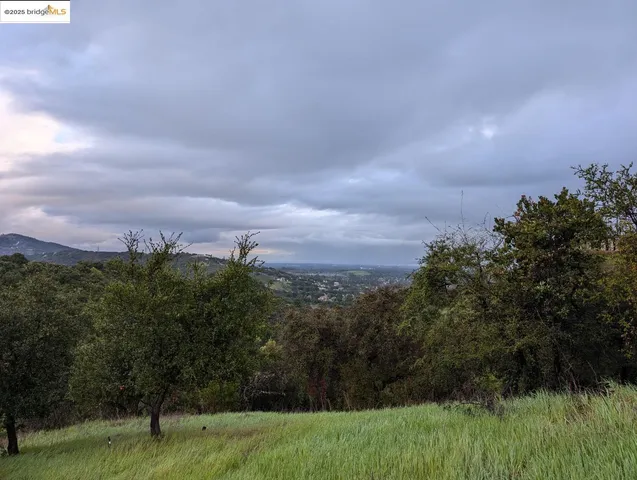 a view of a city with lush green forest
