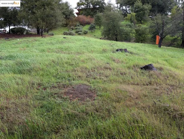 a view of a grassy field with trees