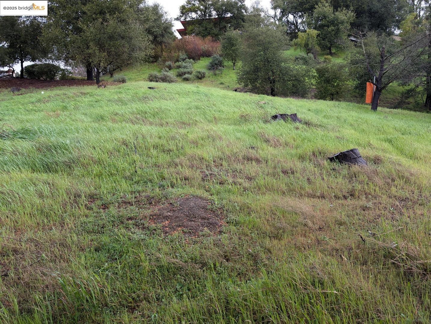 22346 Regnart Road Cupertino, CA 95014 - Photo 4 of 20 a view of a grassy field with trees